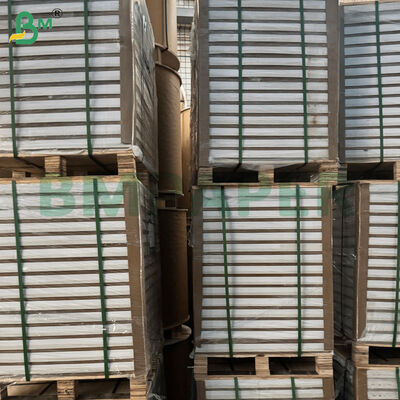 C2S ورق های کاغذی دو طرفه 787mm*1092mm برای مجله