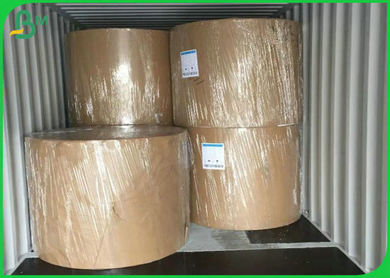 مقاله سازگار با محیط زیست سازگار با مواد 300G PE برای ساخت جعبه ناهار